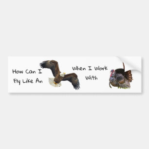 How Can I Fly Like A Eagle Bumper Sticker