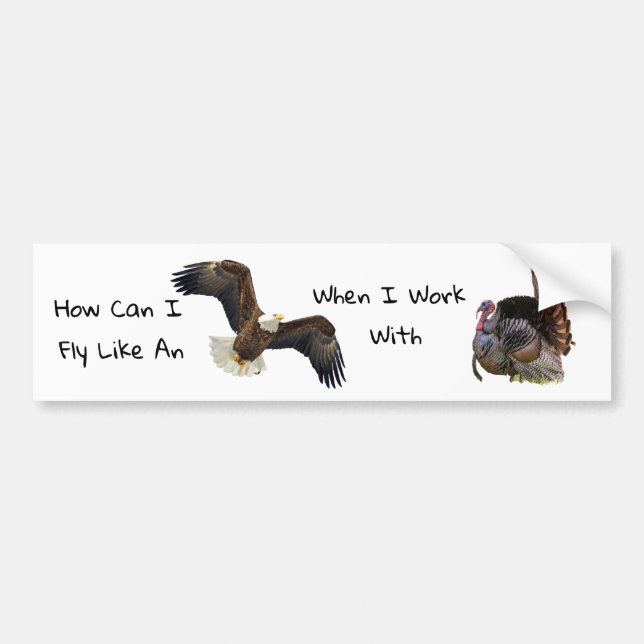 How Can I Fly Like A Eagle Bumper Sticker (Front)