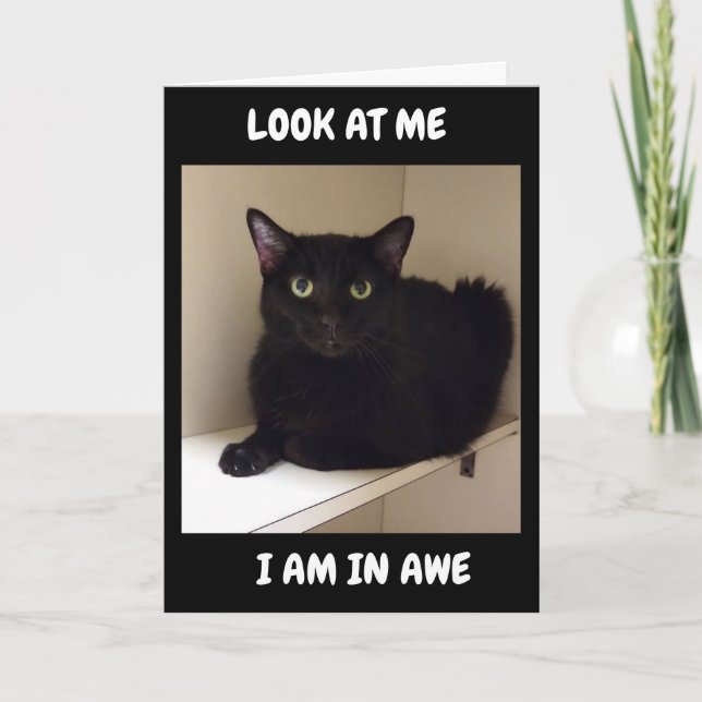 HOW CAN YOU BE TURNING "50" CARD (Front)