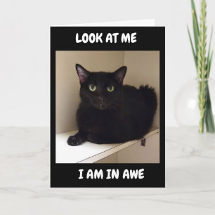 HOW CAN YOU BE TURNING "50" CARD