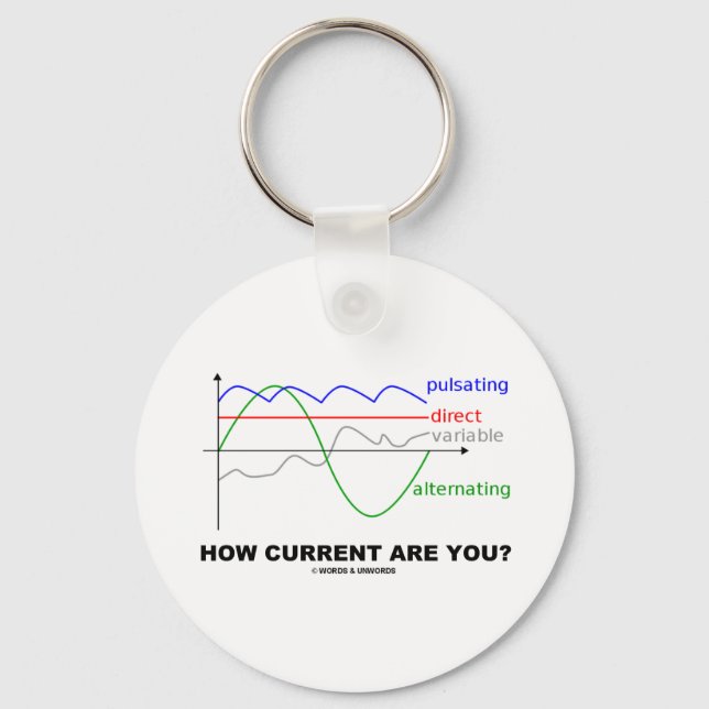 How Current Are You? (Various Currents Physics) Key Ring (Front)