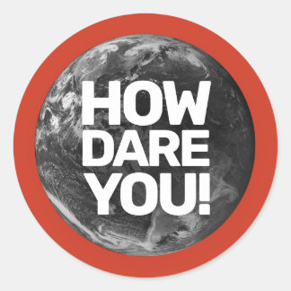How Dare You Earth Environmentalist Classic Round Sticker