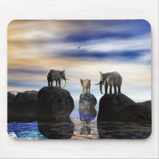 how did he get there, fred? mouse mat