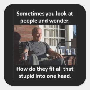 HOW DO THEY FIT ALL THAT STUPID IN ONE HEAD? SQUARE STICKER