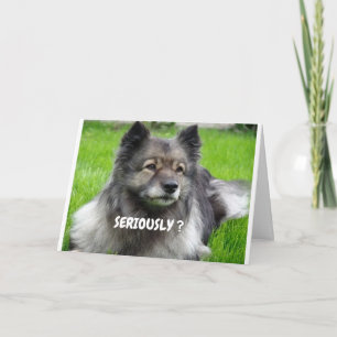 HOW DO U LOOK SO YOUNG TWIN SAYS CUTIE PUP CARD