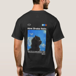 How Drake feels on a cold autumn night T-Shirt