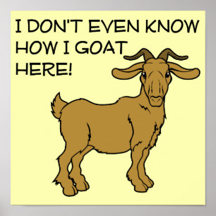 How I Goat Here Funny Poster Sign