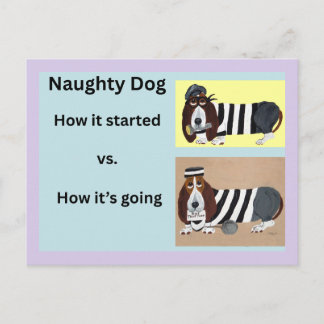 How it started vs How it's going Basset Hound Postcard