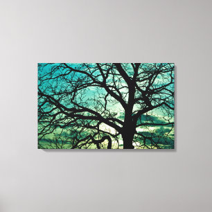 How Jealous Be the Moon? Canvas Print