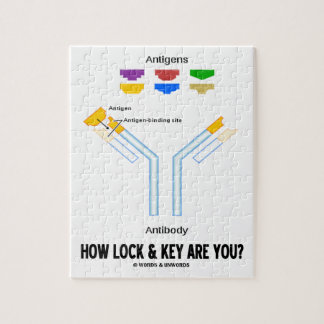 How Lock And Key Are You? (Antigen Antibody) Jigsaw Puzzle
