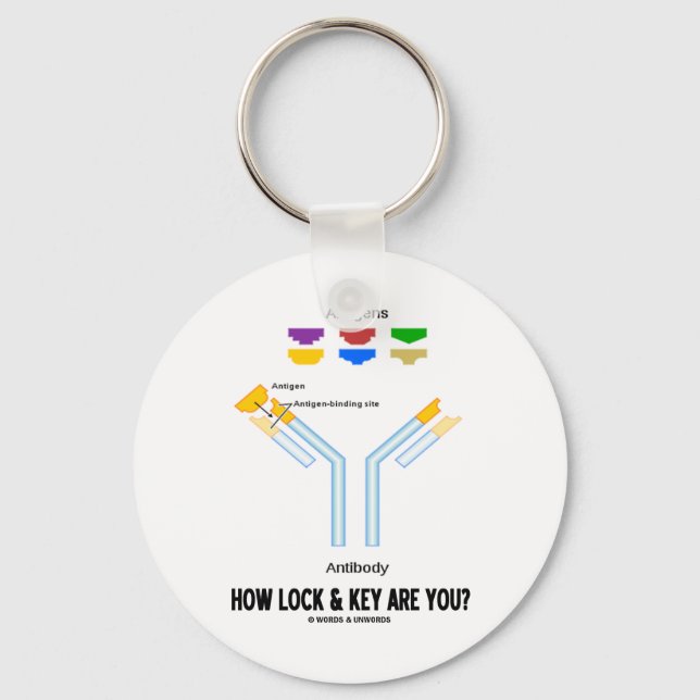 How Lock And Key Are You? (Antigen Antibody) Key Ring (Front)