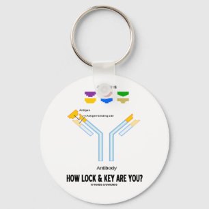 How Lock And Key Are You? (Antigen Antibody) Key Ring