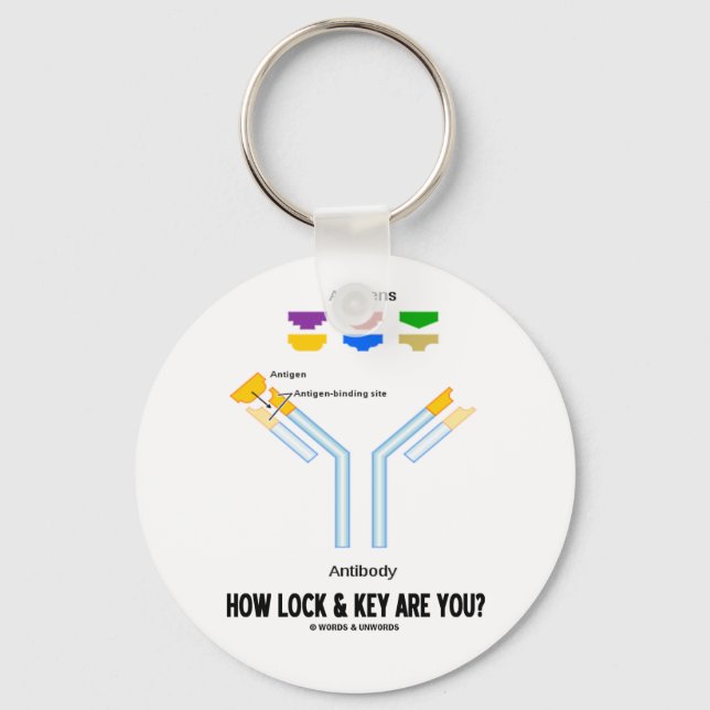 How Lock And Key Are You? (Antigen Antibody) Key Ring (Front)