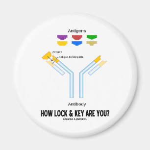 How Lock And Key Are You? (Antigen Antibody) Magnet
