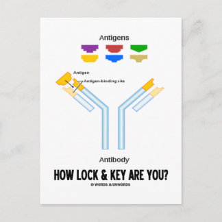 How Lock And Key Are You? (Antigen Antibody) Postcard