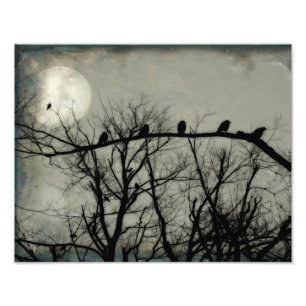 How Many Crows Can You Find Photo Print