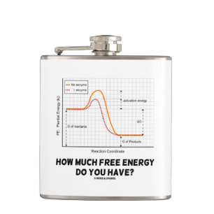 How Much Free Energy Do You Have? Chemistry Humour Hip Flask