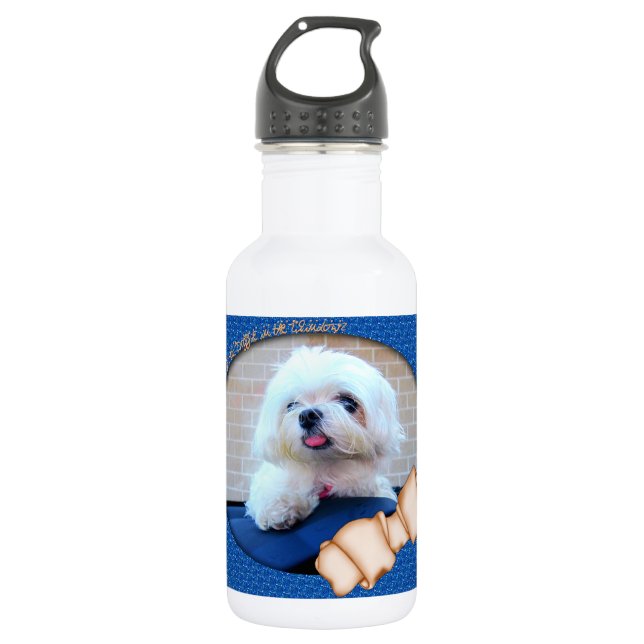 How Much Is That Doggie In The Window 532 Ml Water Bottle (Front)