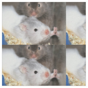 How much is that hamster in the window fabric