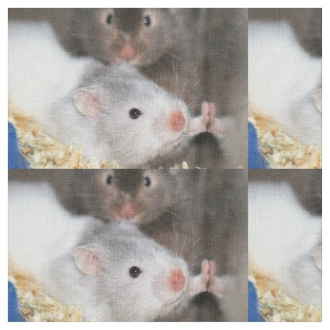 How much is that hamster in the window fabric (Close Up)
