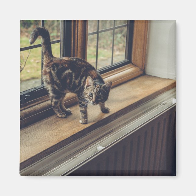 How much is that Kitty in the Window? Magnet (Front)