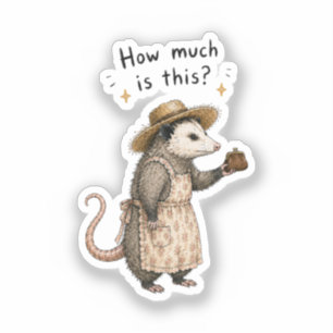 How Much Is This Opossum Granny Coin Purse Thrifti