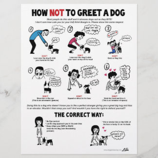 How Not To Greet A Dog - 8.5" x 11" flyers