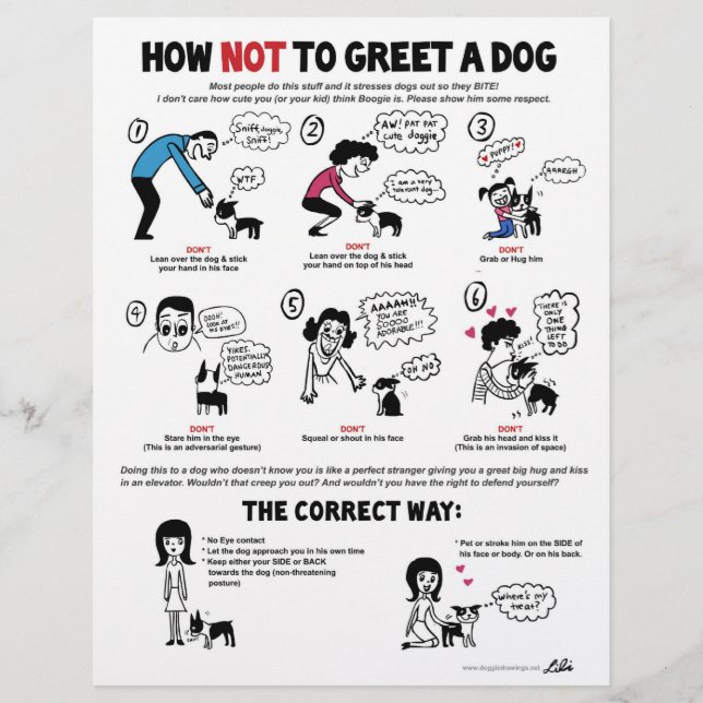 How Not To Greet A Dog - 8.5" x 11" flyers (Front)