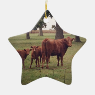 How Now Brown Cow Ceramic Tree Decoration