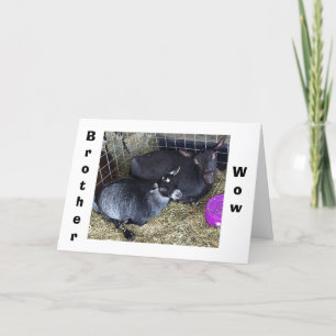 HOW OLD R U SAYING YOU ARE THIS YEAR BROTHER? CARD