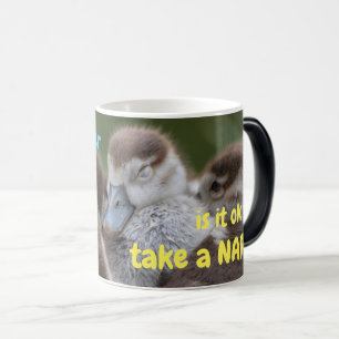How soon after waking up is it ok to take a nap? magic mug
