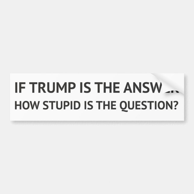 How stupid is the Question? Bumper Sticker (Front)