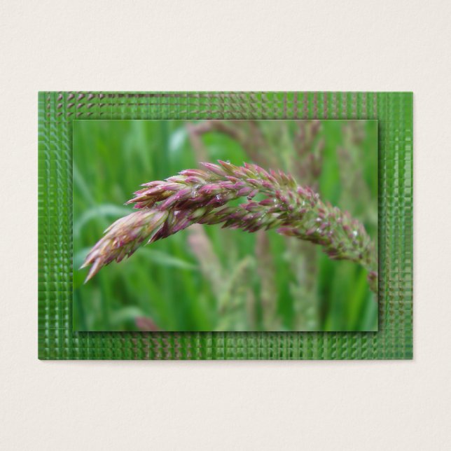 How the Grass Grows Bookmarks (Front)