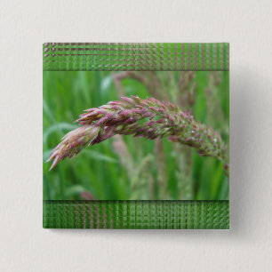 How the Grass Grows Button