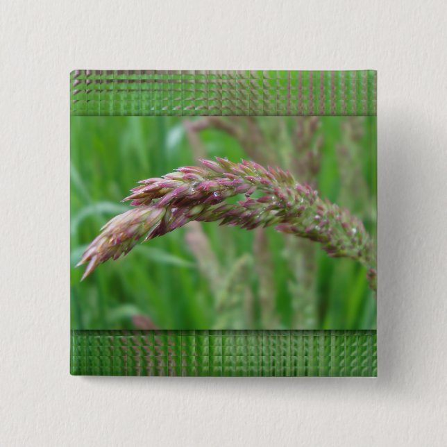 How the Grass Grows Button (Front)