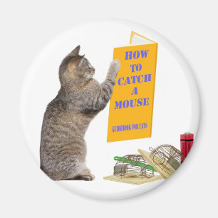 How to catch a mouse magnet