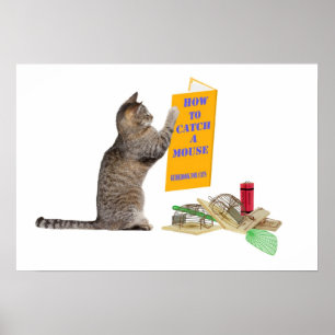 How to catch a mouse poster