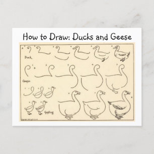 How to Draw a Duck and Goose Vintage Postcard