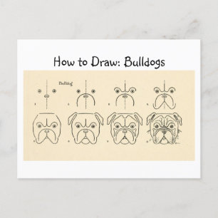 How to Draw Bulldogs Vintage Postcard