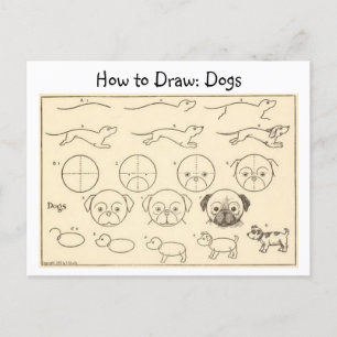How to Draw Dogs Vintage Postcard
