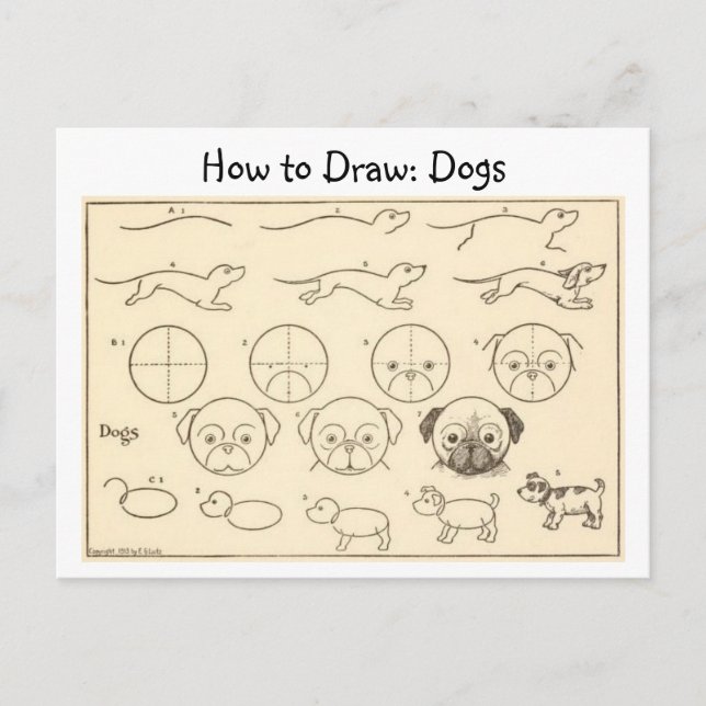 How to Draw Dogs Vintage Postcard (Front)