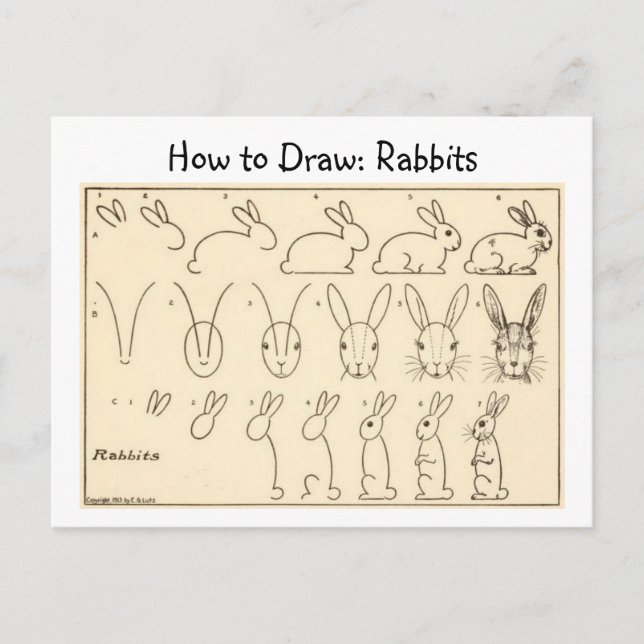 How to Draw Rabbits Vintage Postcard (Front)