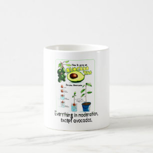 How To Grow An Avocado Tree Coffee Mug