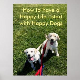 How to have a Happy Life...start with Happy Dogs Poster