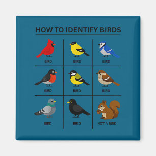 How to identify a bird funny birdwatching cute magnet