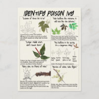 How to Identify Poison Ivy Plants - Hike Safe