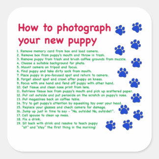 How to photograph your new puppy square sticker