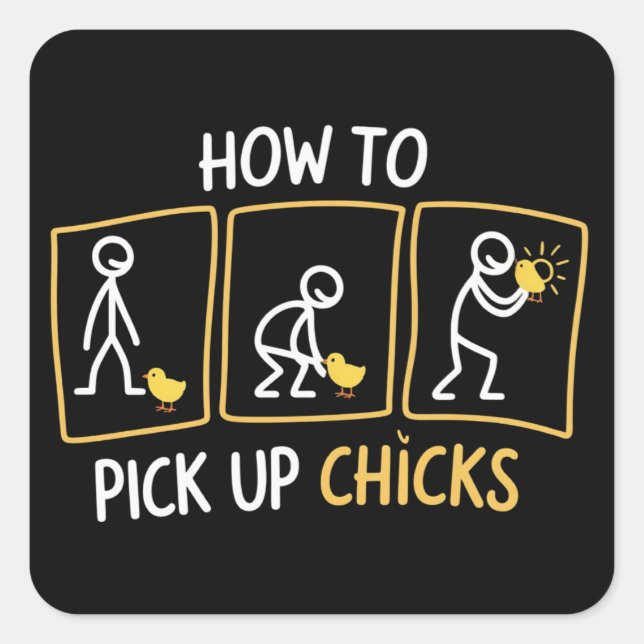 How to Pick up Chicks Funny Sarcastic Sarcasm Joke Square Sticker (Front)