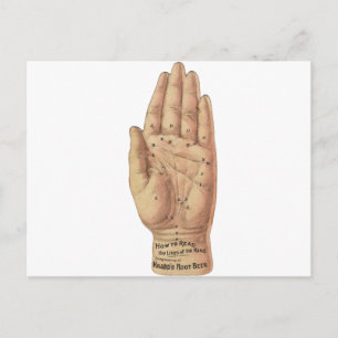 How To Read Palms Postcard