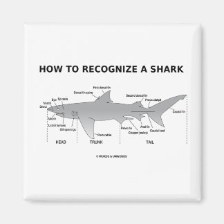 How To Recognise A Shark (Biology Humour) Magnet